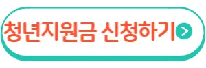 청년지원금