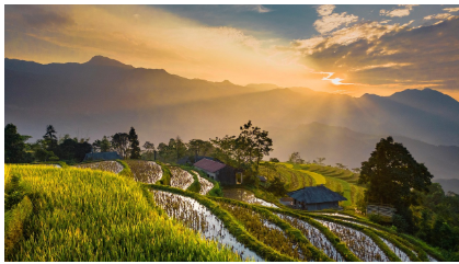 아침 햇빛 10분과 건강: 생체 리듬 초기화 실험