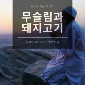 역사속의 미스터리 무슬림이 돼지고기 먹지 않는 이유_13