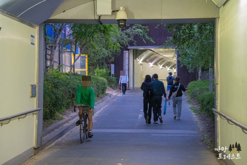 양화 한강공원 가는길 터널