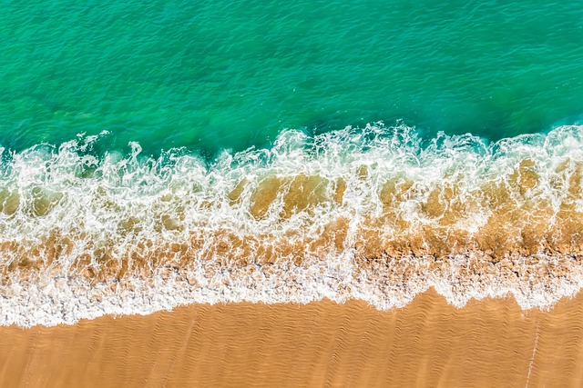 하와이 마우이 여행 꿀팁 총정리