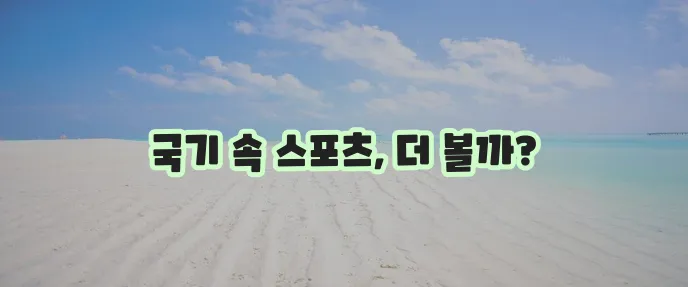 국가별 국기와 스포츠 경기 종류를 알아봅시다!