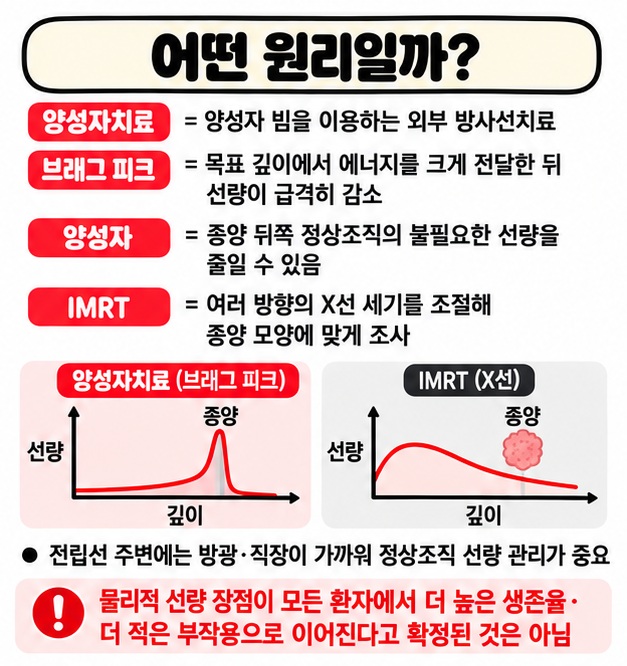 양성자의 브래그 피크와 IMRT 광자 방사선의 선량 분포 차이를 비교하는 카드