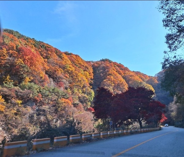지리산 단풍시기