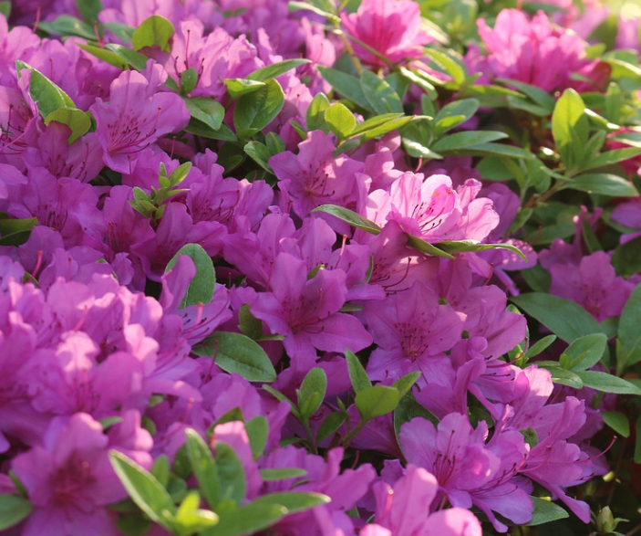 소백산 자연경관 사진