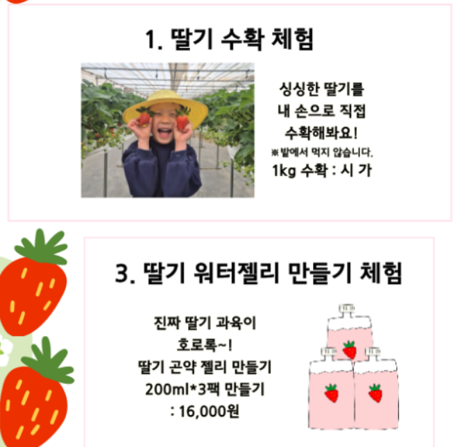 율봄식물원 딸기 체험 안내7