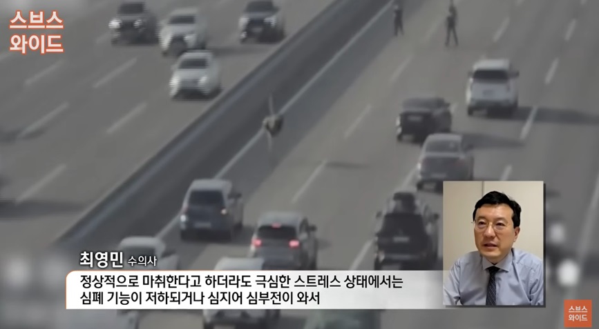 타조 탈출 사건 설명