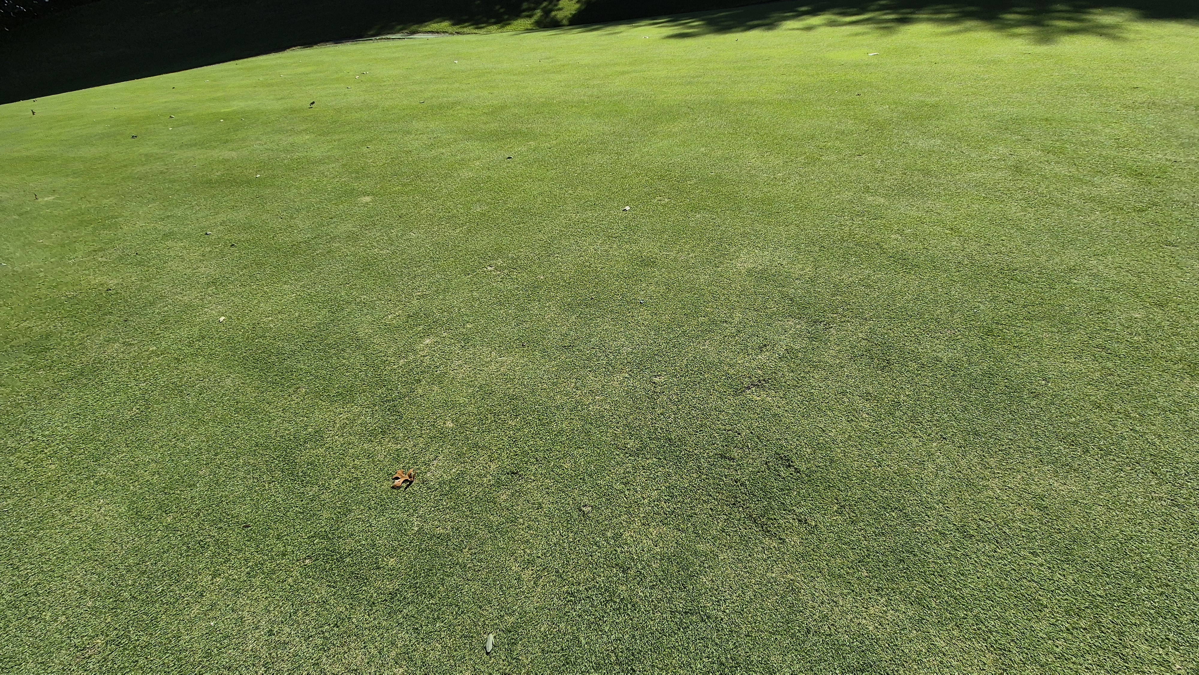 떼제베cc 동-북 코스 그린 관리 상태