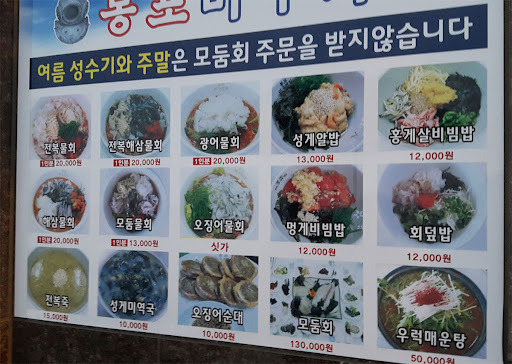 강원 속초시 물회 맛집, 봉포머구리집