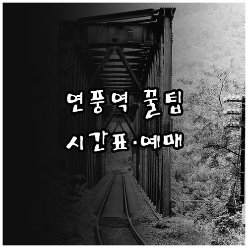 연풍역 열차 시간표와 주차장 정보 코..