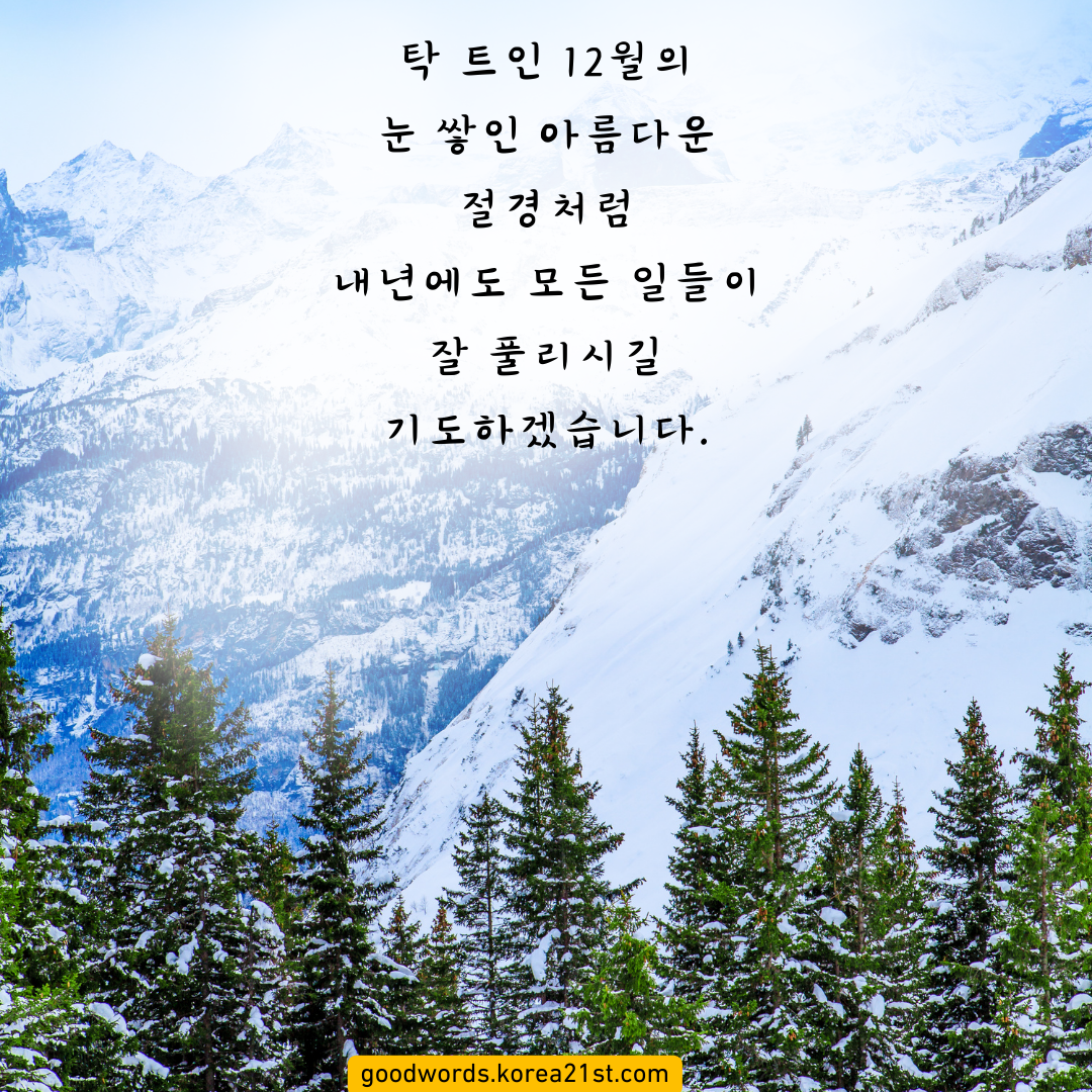 12월 인사말 이미지 문구 모음집 안부 문자 메세지