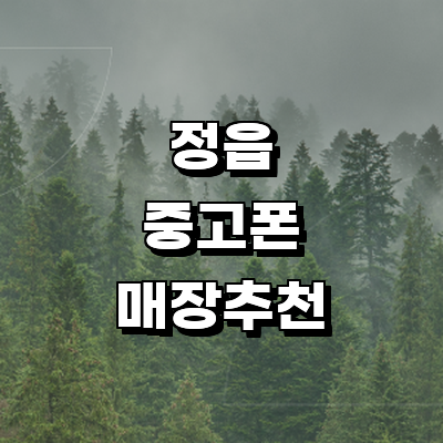 정읍시 중고폰