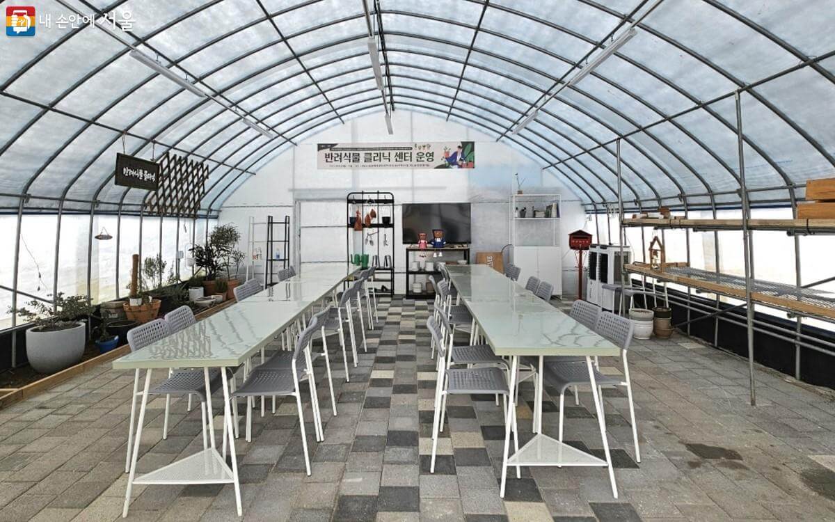 서울시 반려식물 클리닉 신청방법 예약