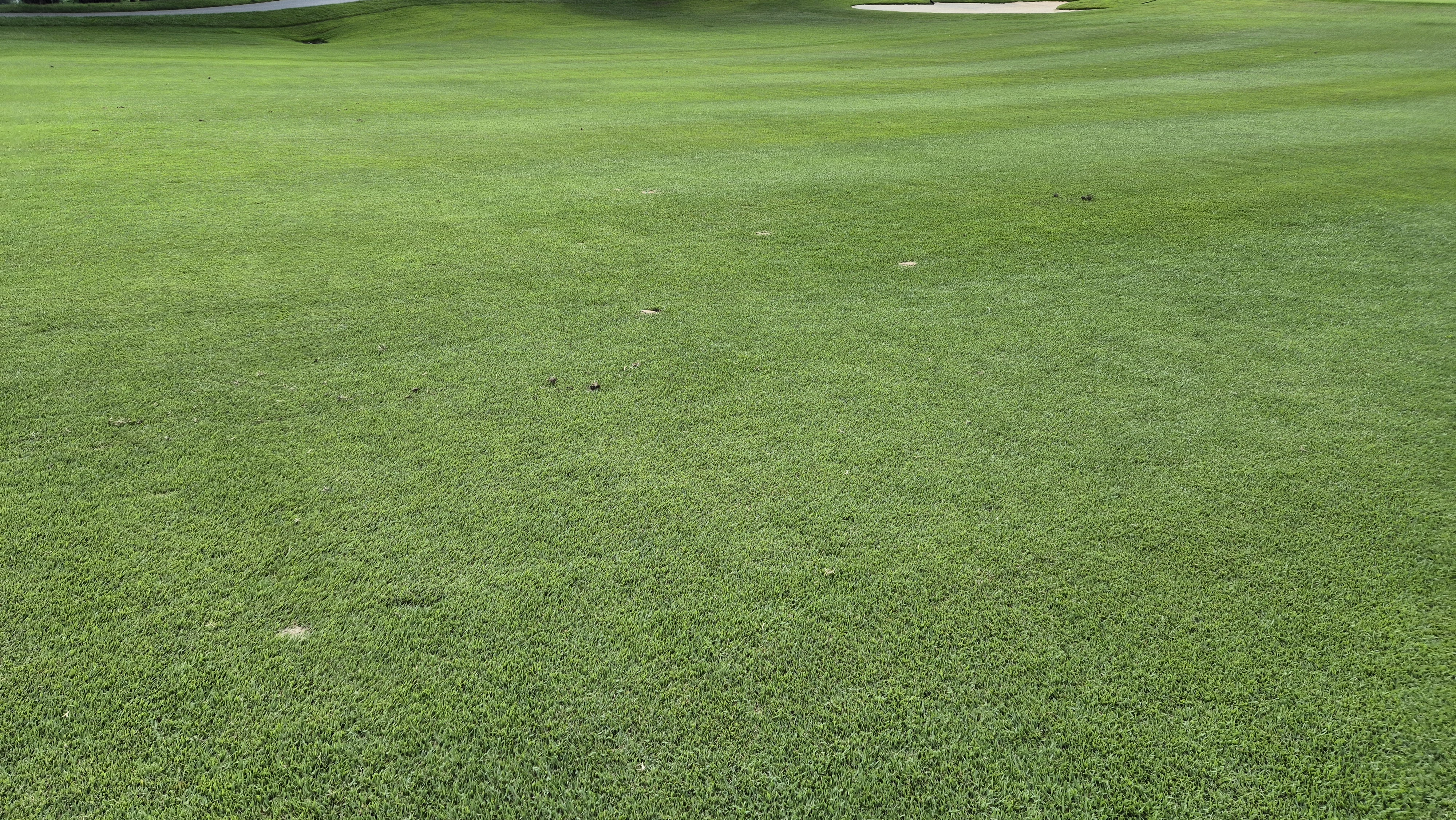 한성cc 오렌지-그린 코스 라운드 후기