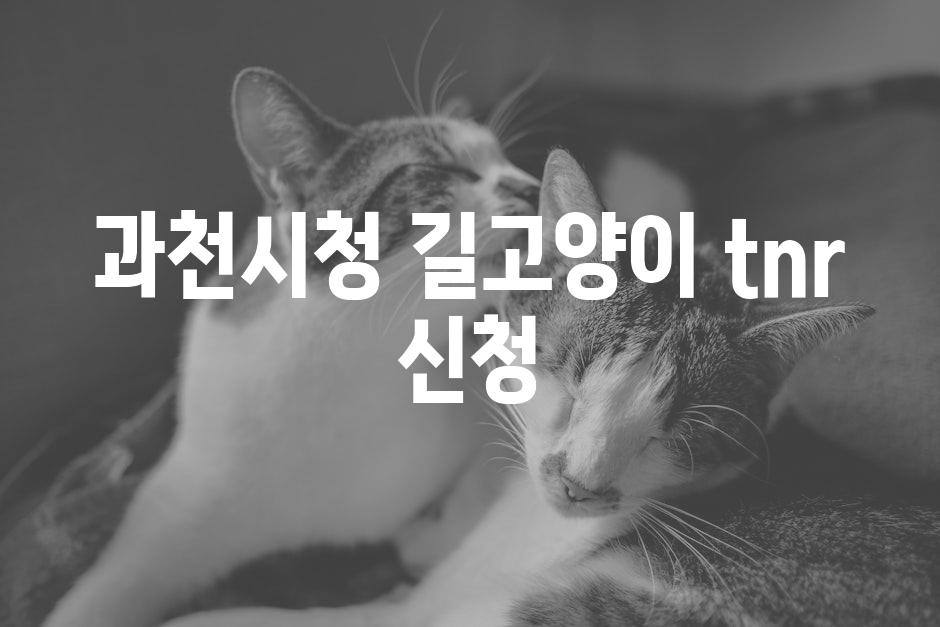 Cats 3