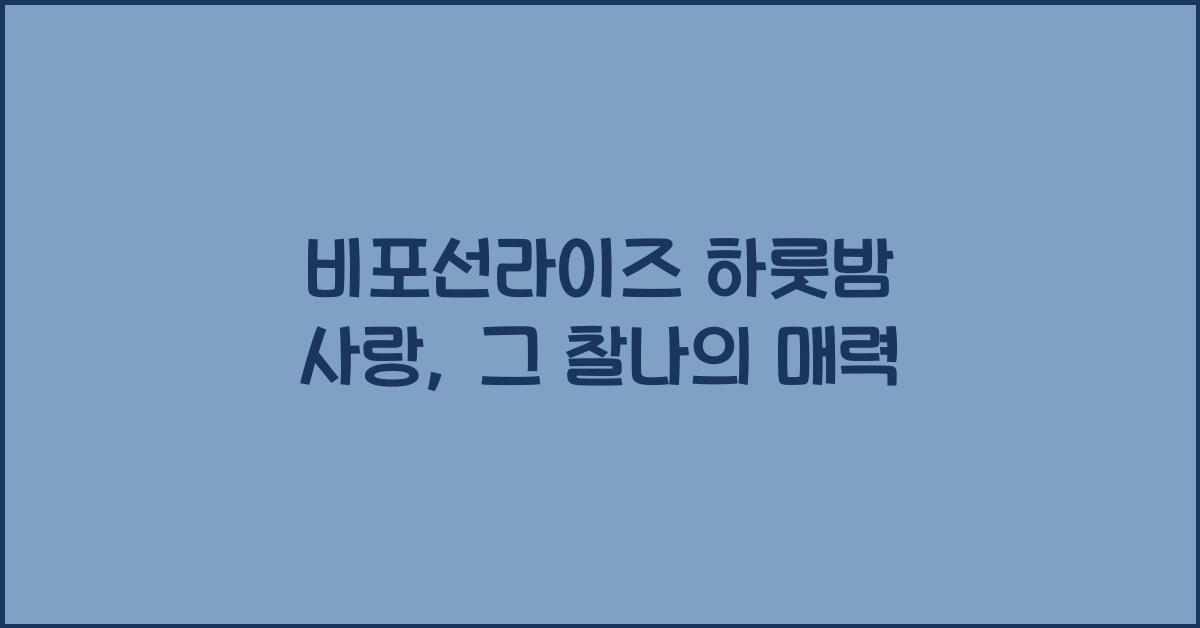 비포선라이즈 하룻밤 사랑