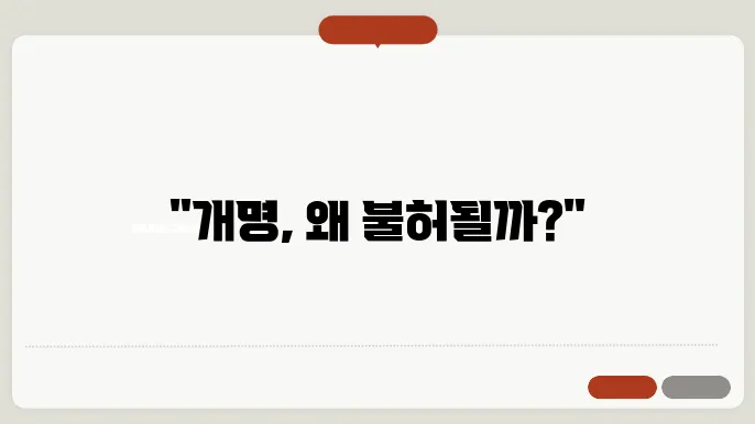 개명 신청 기각 이유에 대한 시각 자료