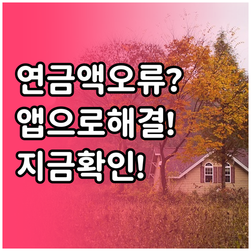 국민연금 예상수령액 오류, 모바일 앱..