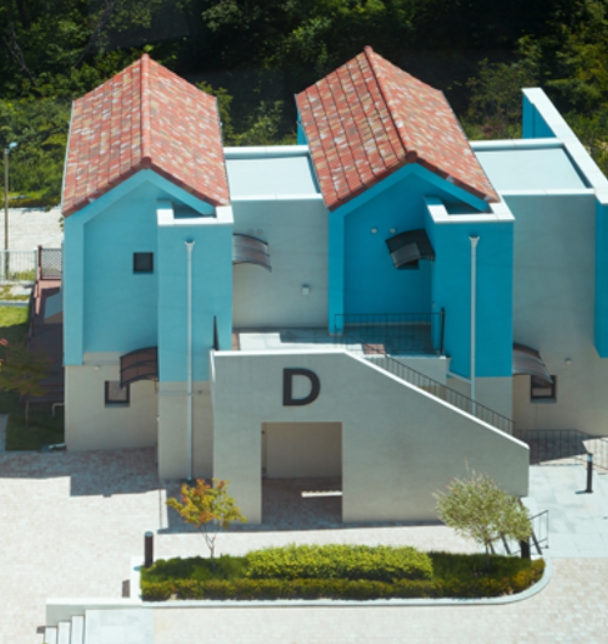 용인/새로운/인기/핫플/용/자작나/숲