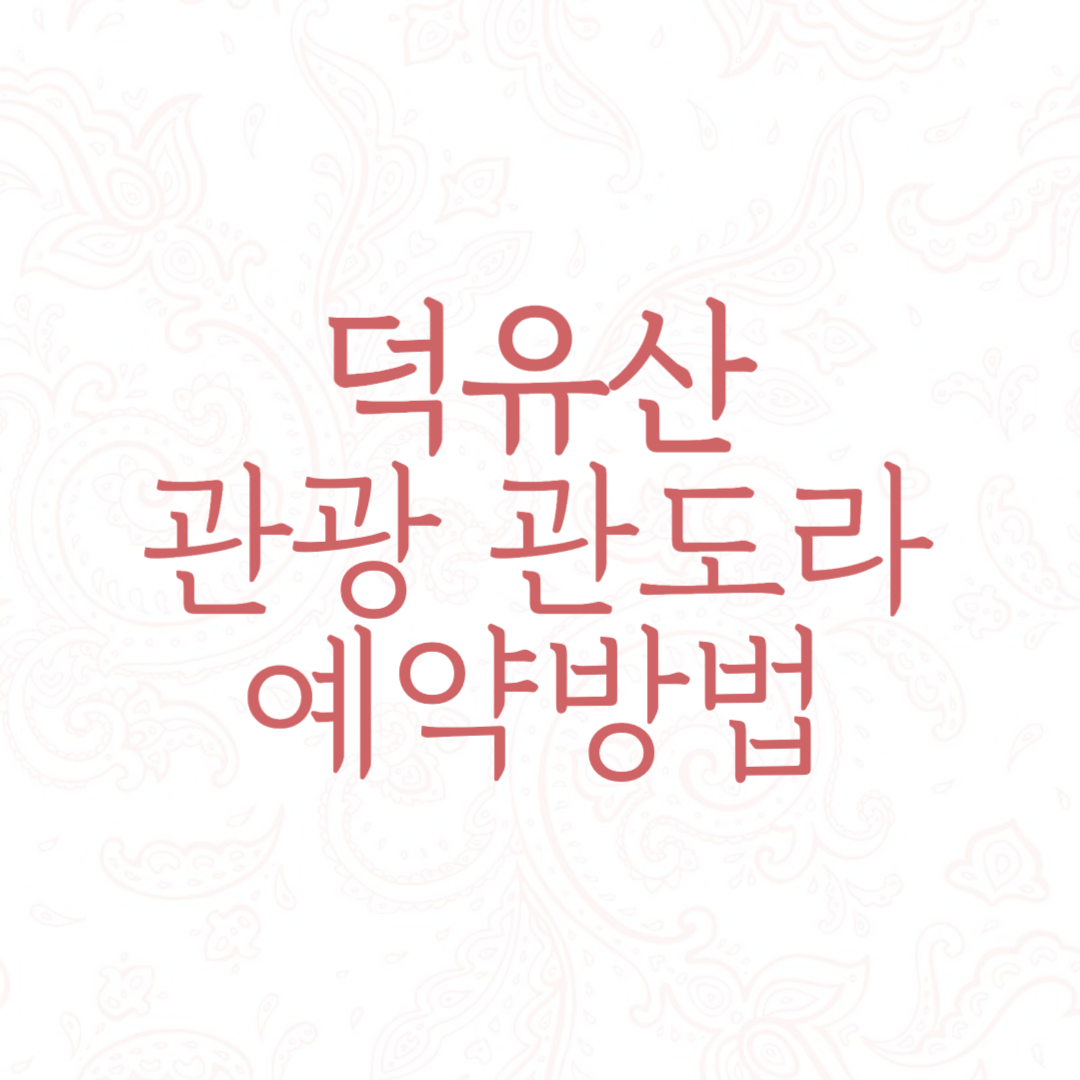 덕유산 관광 곤도라 예약 방법