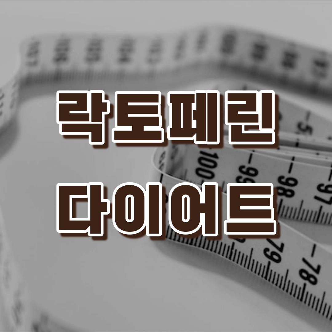 락토페린과 다이어트