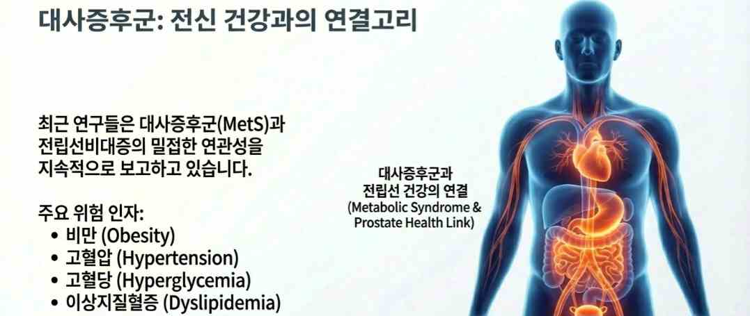 전립선비대증원인-사진5