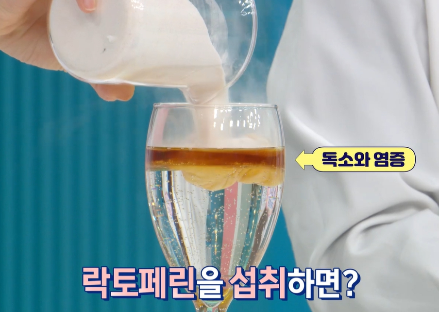락토페린 효능