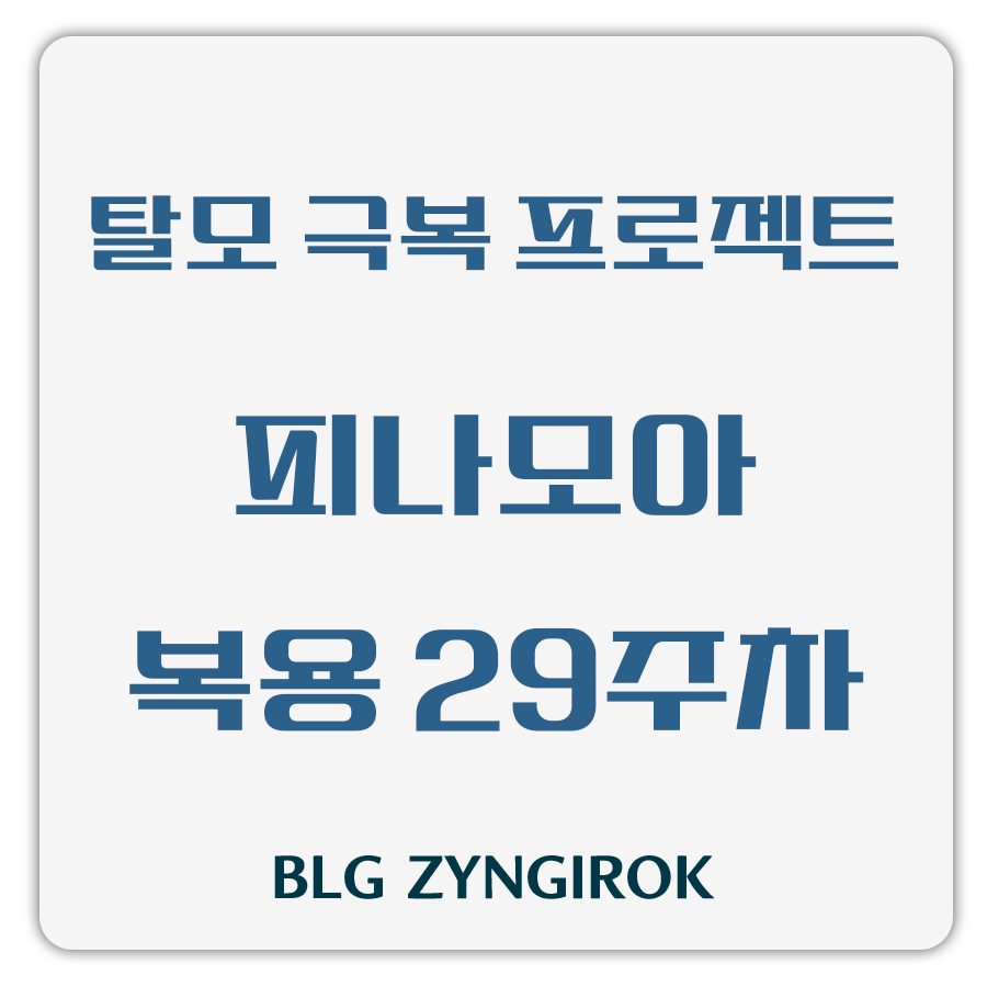 탈모 극복 프로젝트 - 피나모아 복용 29주차 썸네일 이미지이다.