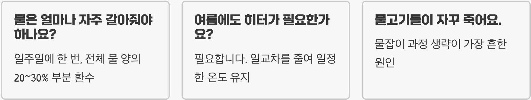 2자 어항 세팅 A to Z (초보자 필독 가이드)