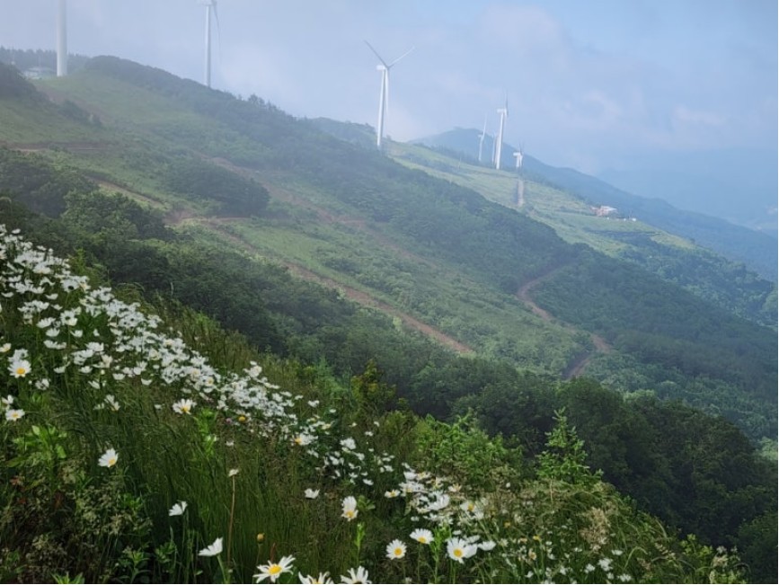 강원도 힐링 여행지 추천- 평창 알프스 산장