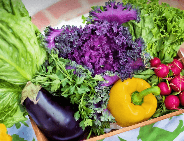 눈 떨림에 좋은 음식