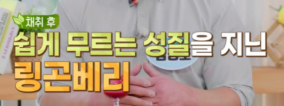 링곤베리 퓨레 먹는 법