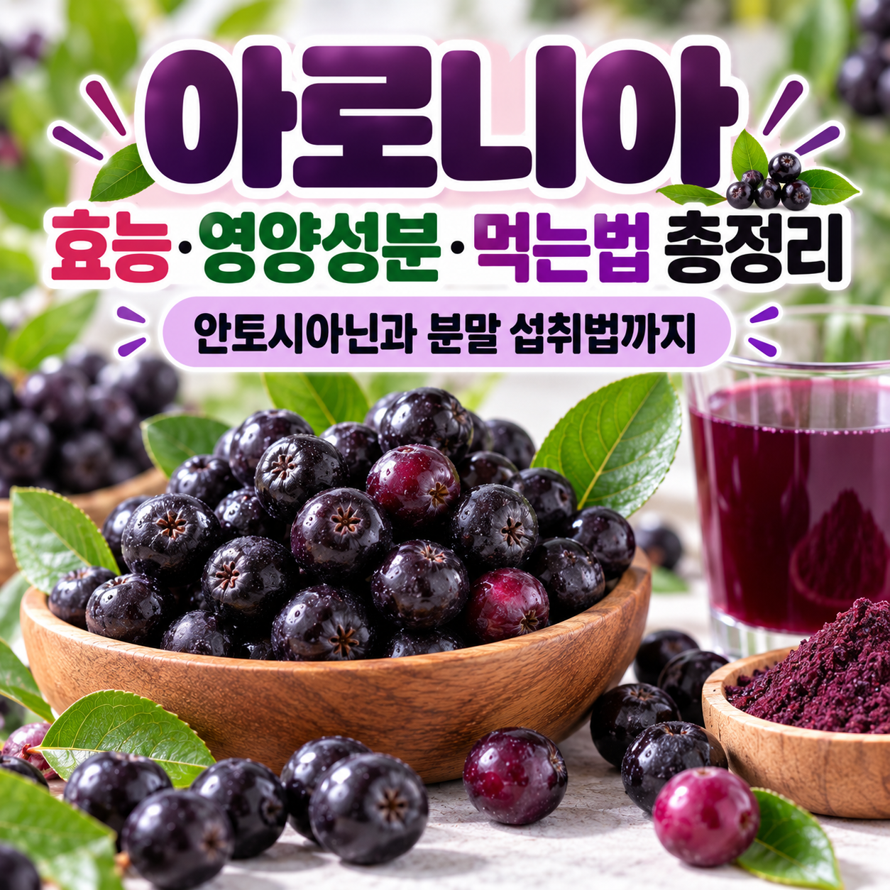 아로니아 효능