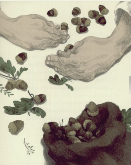 <나무를 심은 사람> 책 속 삽화