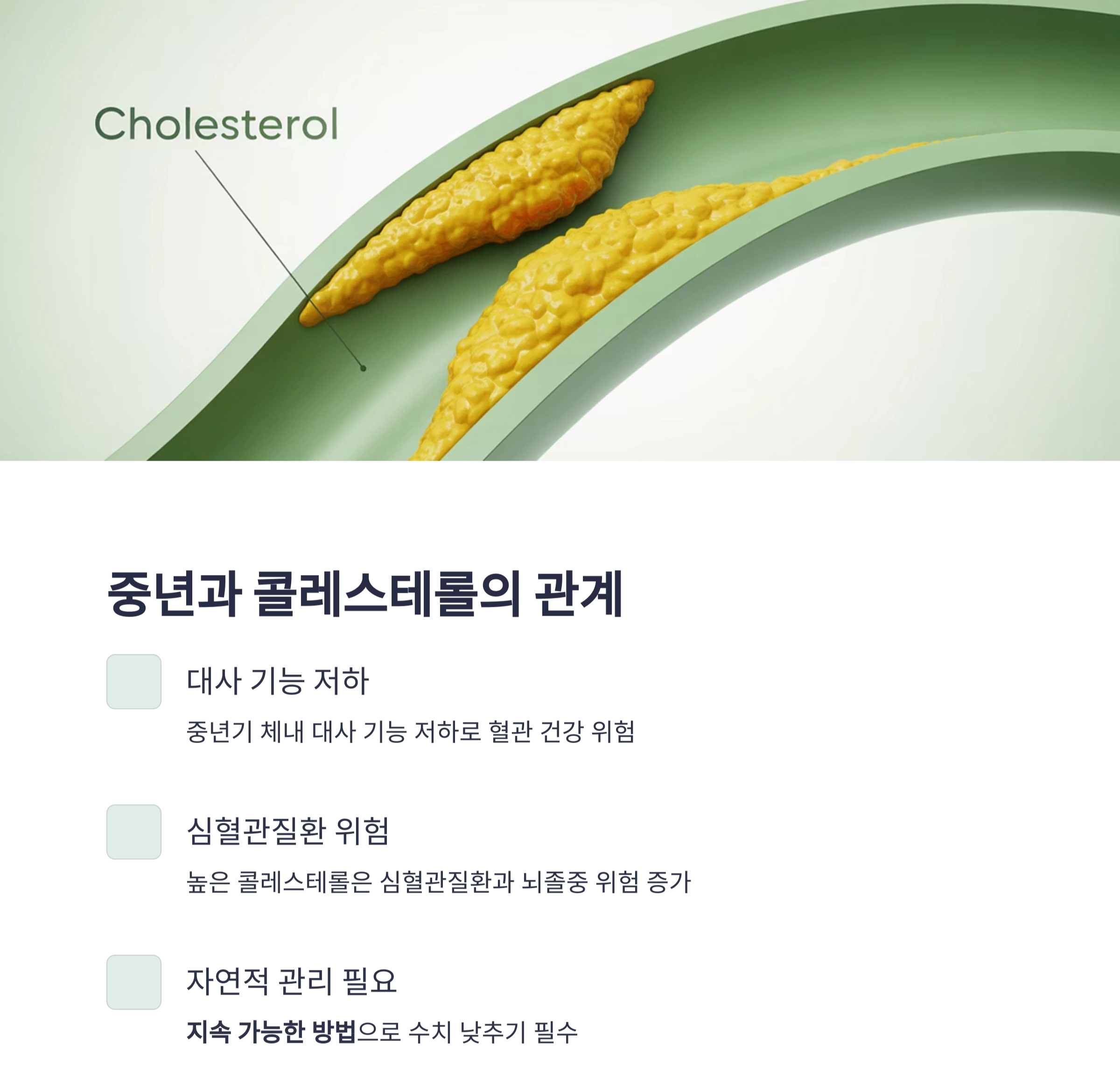 중년이라면 꼭 실천해야 할 콜레스테롤 낮추는 핵심 방법