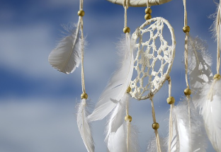 뱀이 나오는 꿈 의미 및 해몽(색깔, 상황별 해석, 길몽 여부)