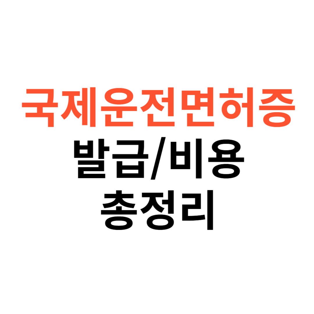 국제운전면허증 발급