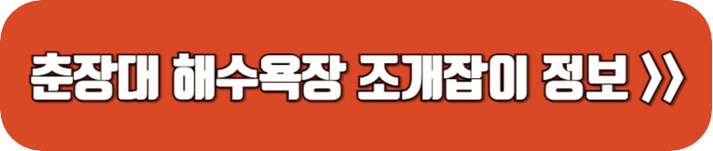 춘장대-해수욕장-조개잡이-정보링크