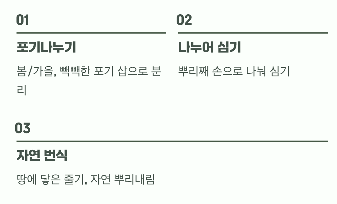 한 포기가 열 포기가 되는 마법