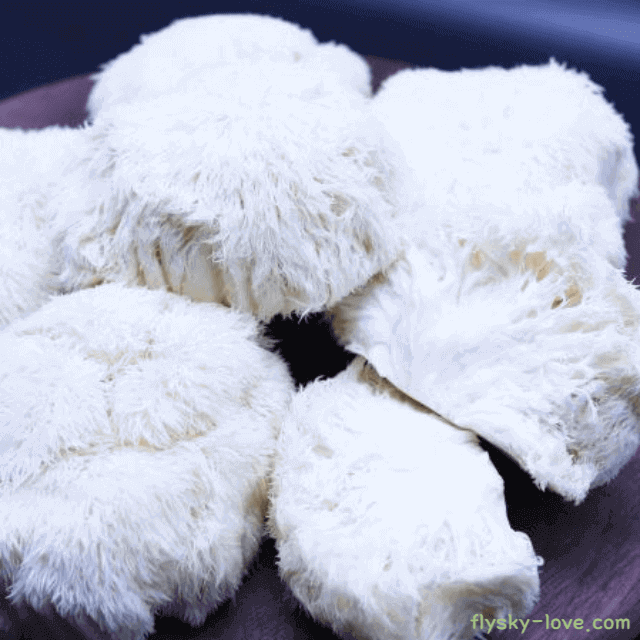 노루궁뎅이 효능