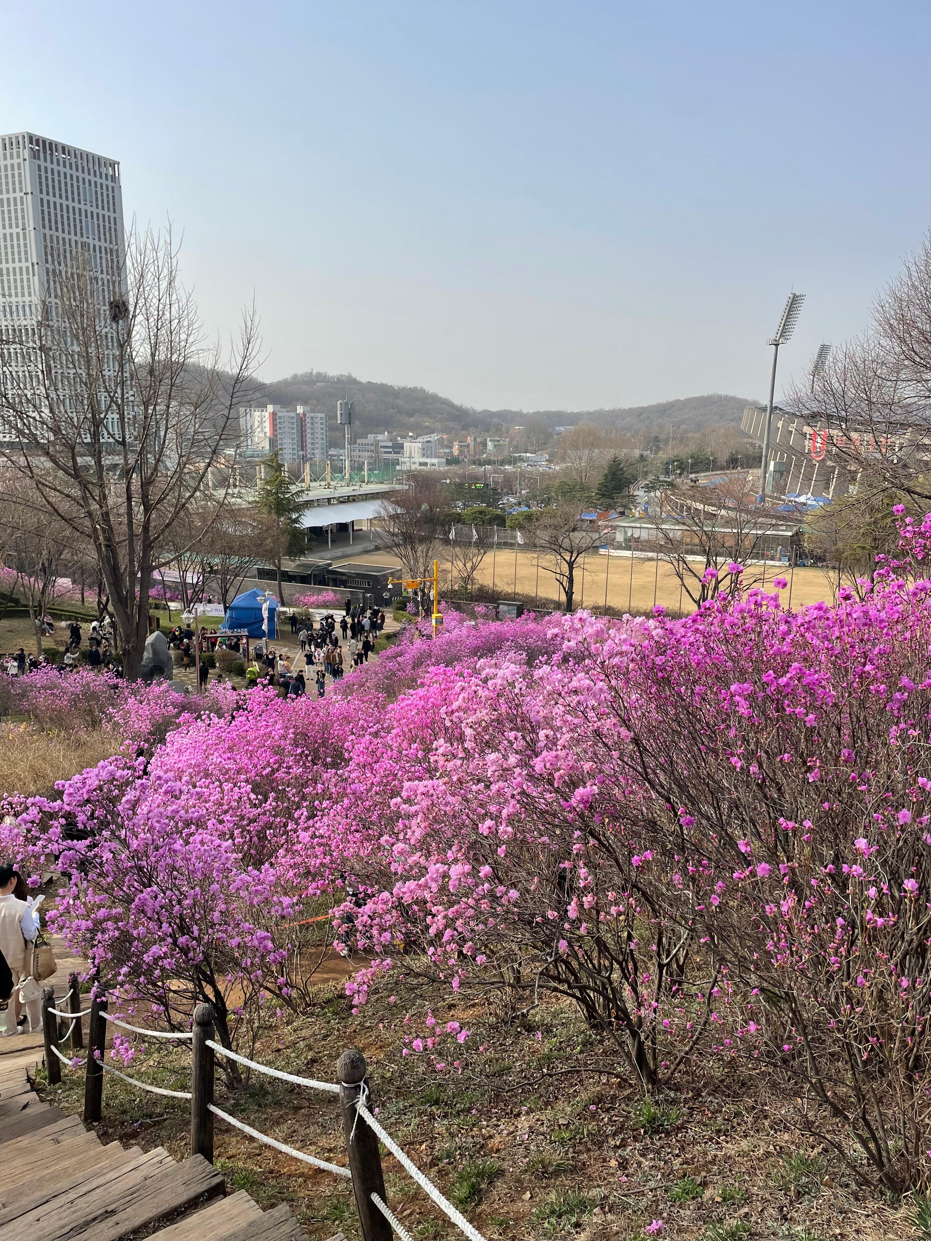 부천 여행 코스 자연 도심 추천 글을 위한 부천 원미산 사진