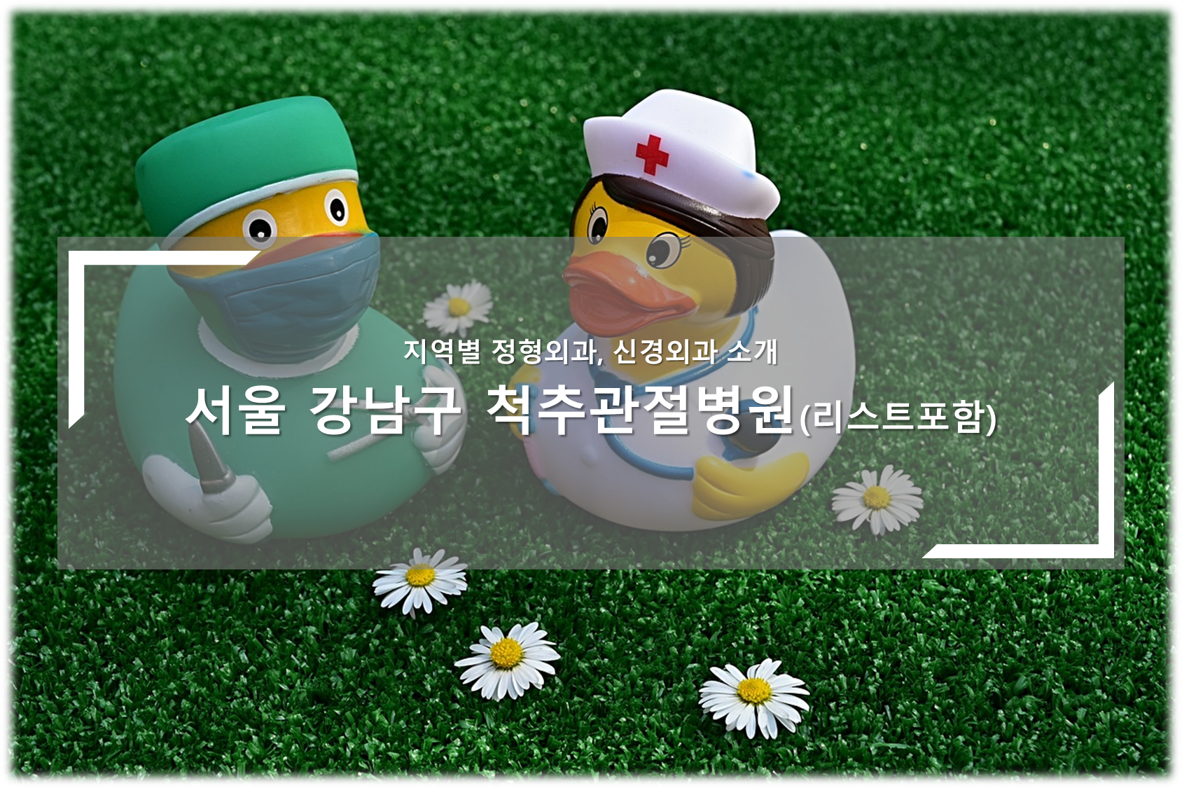 강남구 척추관절병원 안내