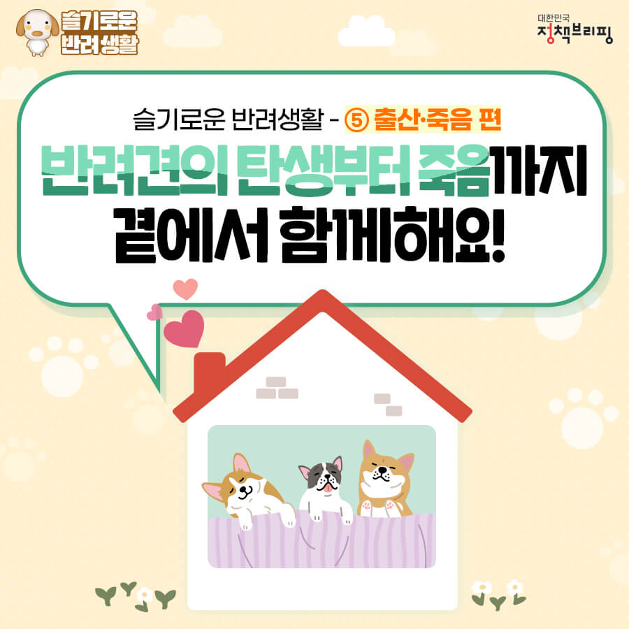 반려동물장례식장