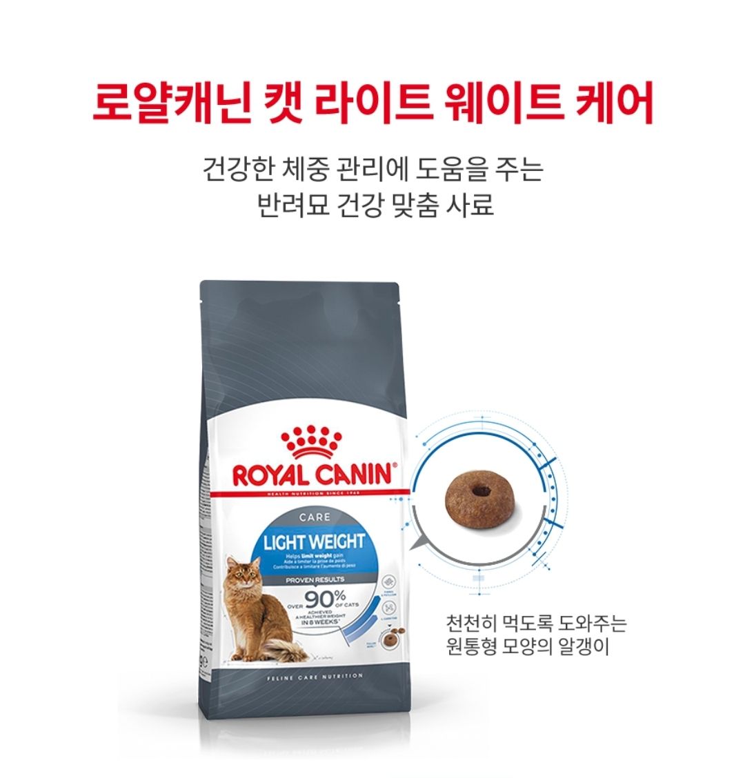 고양이 다이어트