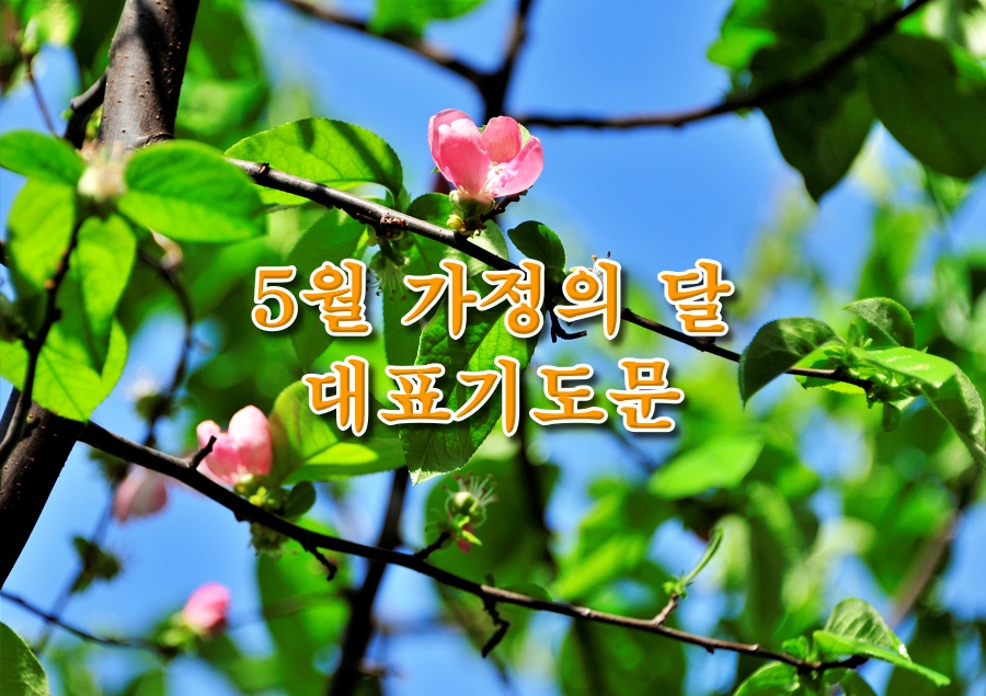 5월 대표 기도문 모음