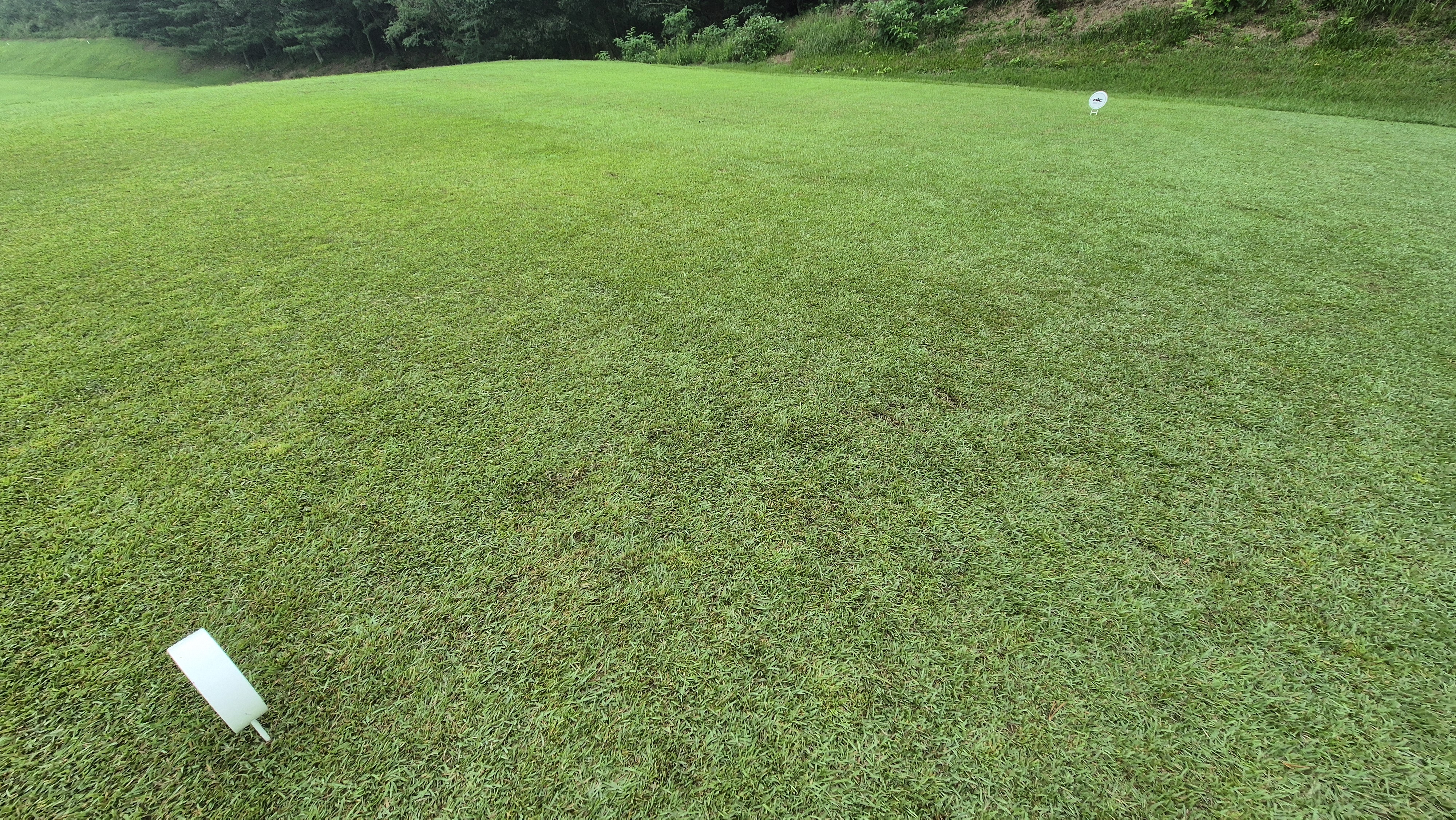 도고cc 티잉구역상태