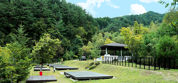 공공 우수야영장