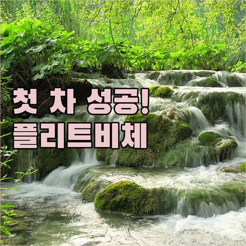 플리트비체 국립공원 나홀로 여행 코스..