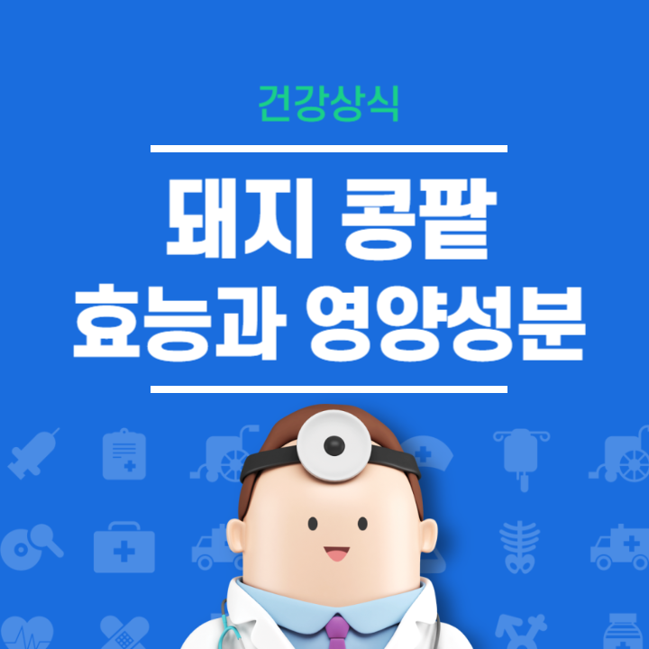 돼지 콩팥 효능과 영양성분 칼로리