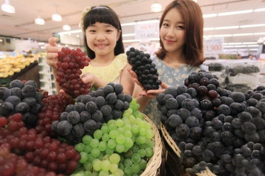 6시내고향 경기 안성 거봉 포도 파는 곳 전국 택배 은혜농원 온라인 전화 주문 추천